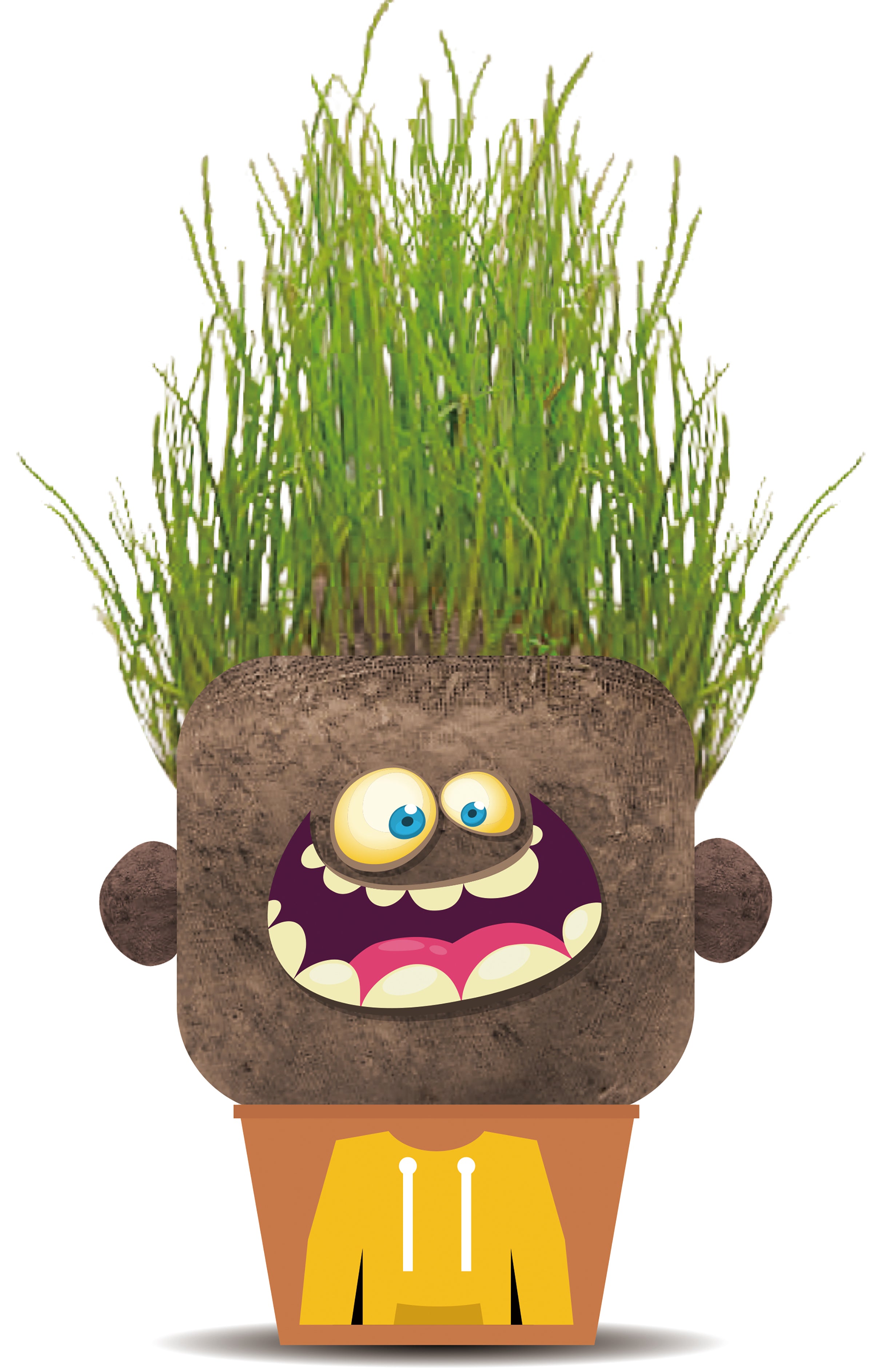 La Planta Hank Feliz