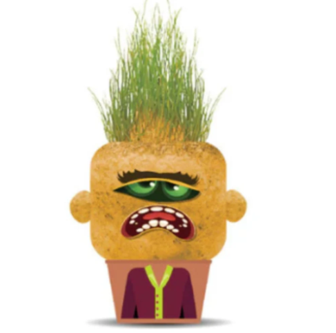 La Planta Mary Malhumorada