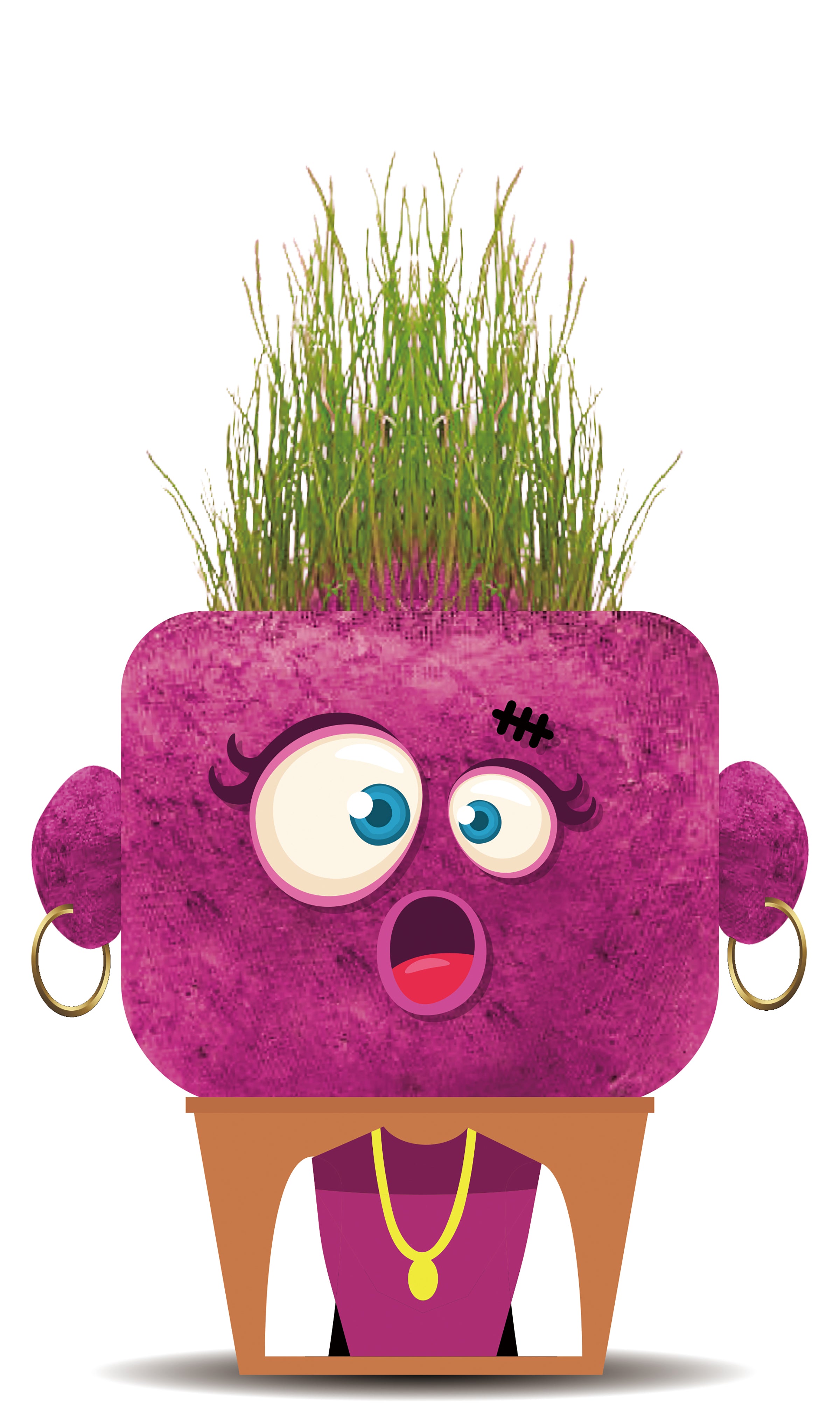 La Planta Pal Sandra Sorprendida